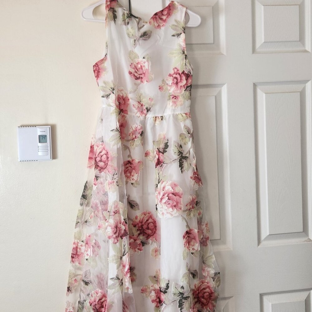Floral Print Sheer Sleeveless Dress Brand New Women’s Fashion Outfit